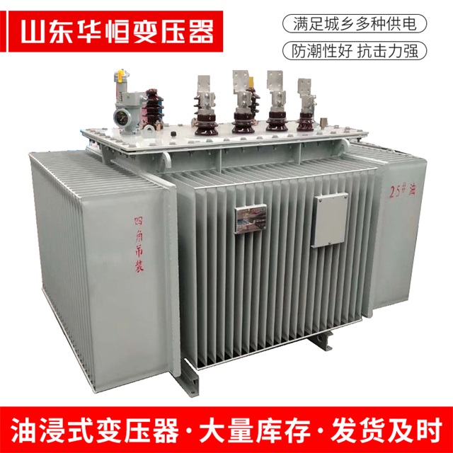 S13-10000/35复兴复兴复兴电力变压器厂家